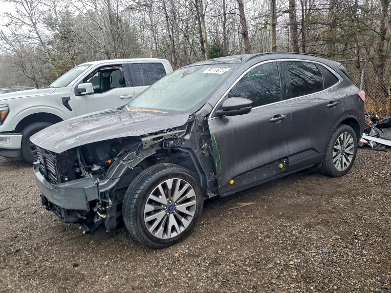 Global Auto Auctions: 2020 FORD ESCAPE TIT