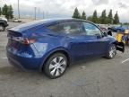 Lot #3303002635 2023 TESLA MODEL Y