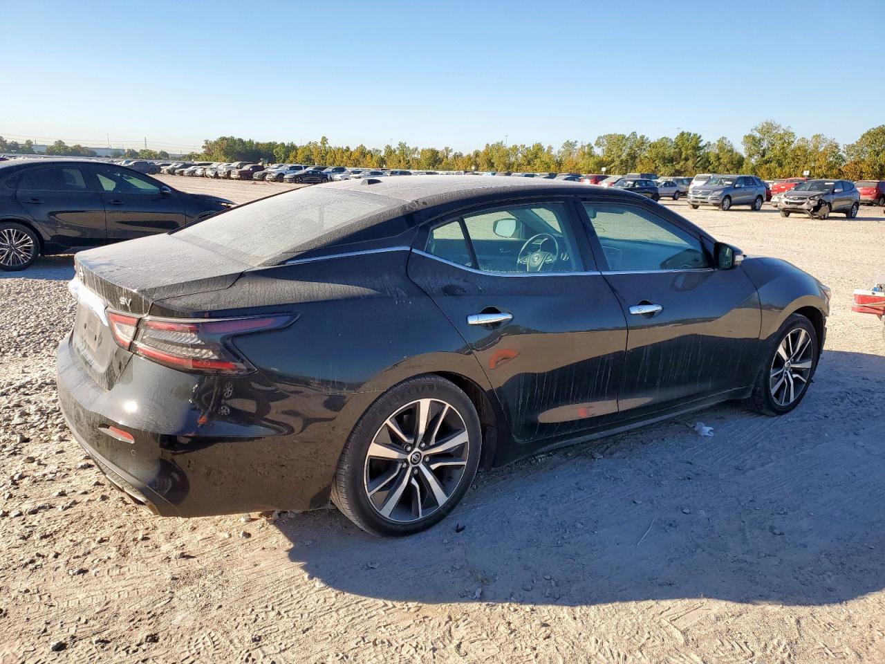 Lot #3318021373 2020 NISSAN MAXIMA SV