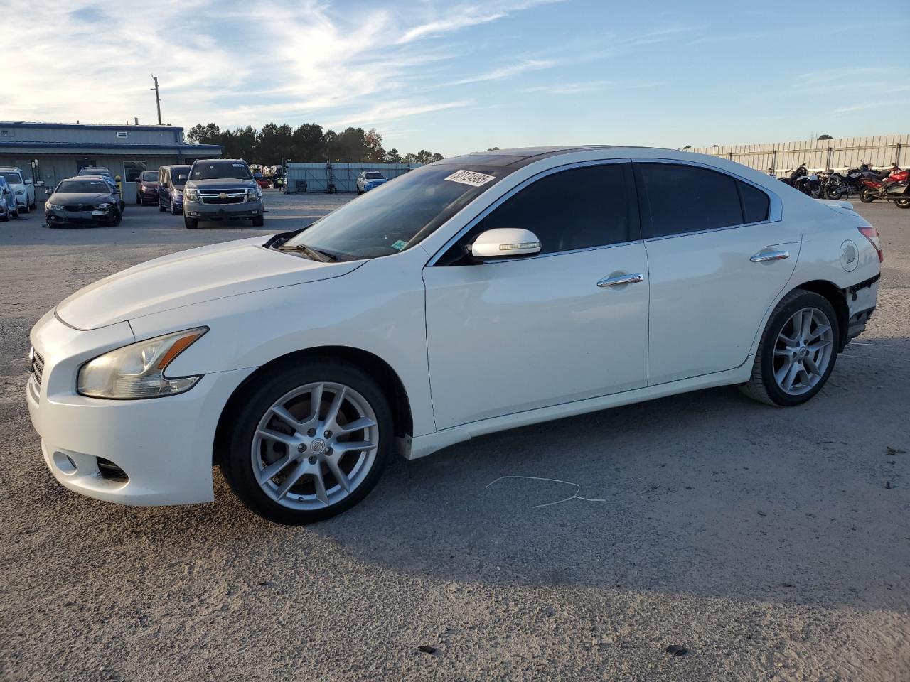 Lot #3291281016 2011 NISSAN MAXIMA S