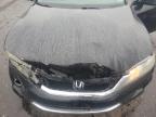 Lot #3303988708 2014 HONDA ACCORD EXL