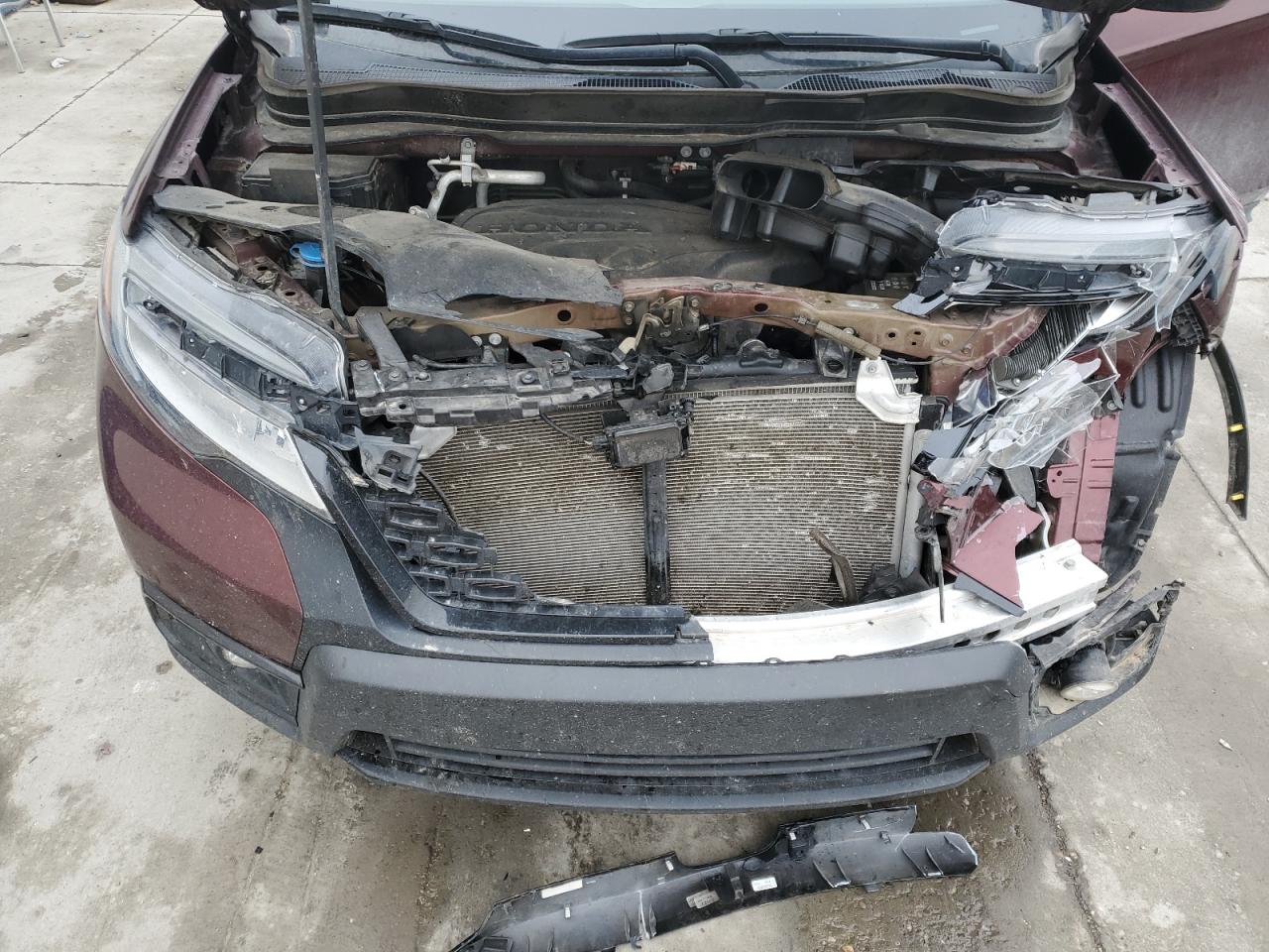 HONDA PASSPORT ELITE