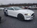 Lot #3292503679 2019 FORD MUSTANG