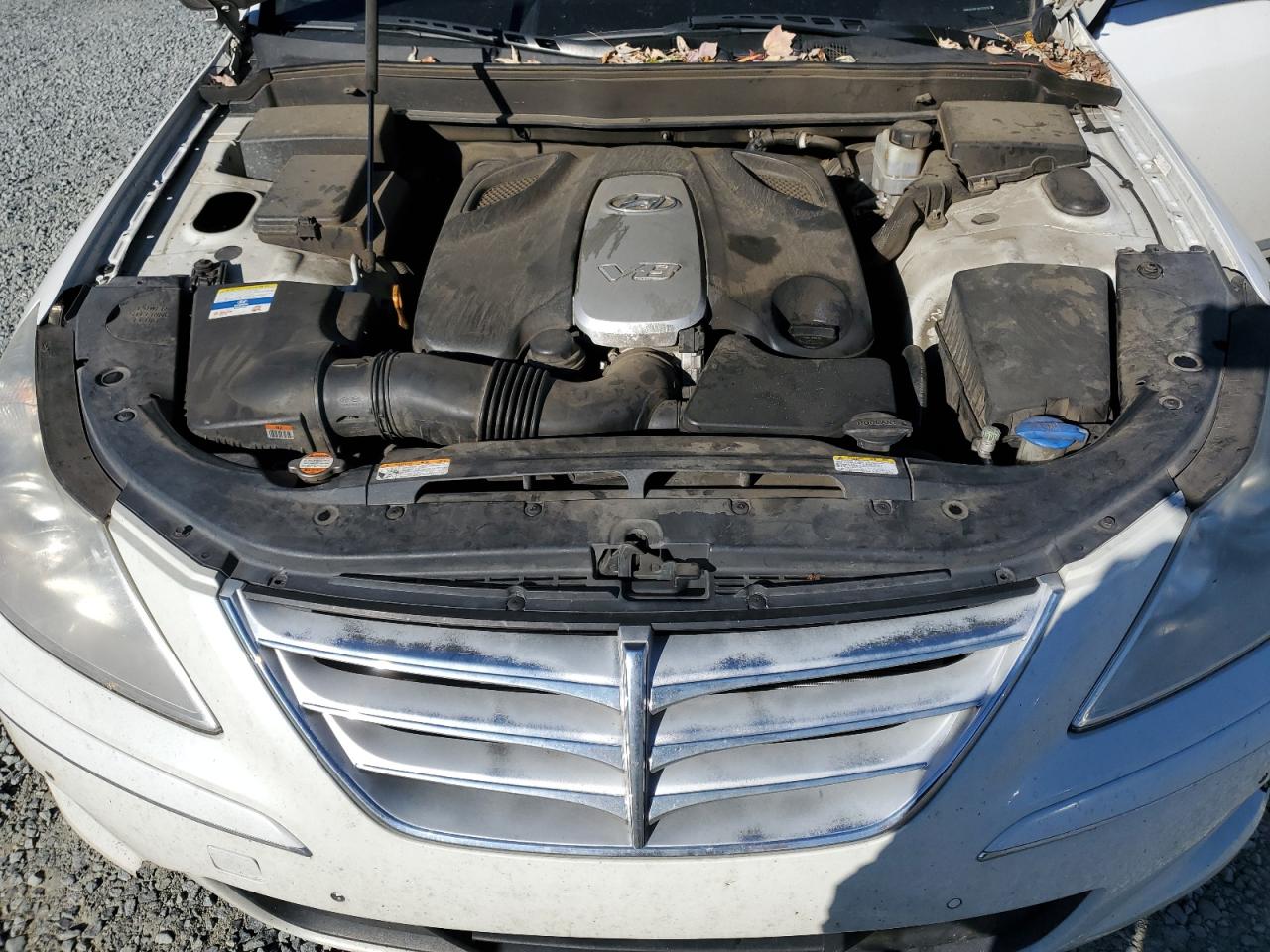 HYUNDAI GENESIS 4.6L