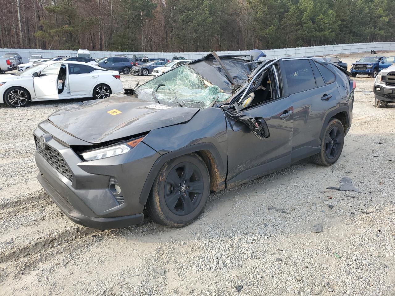 Lot #3301832341 2020 TOYOTA RAV4 XLE