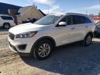 Lot #3309410966 2017 KIA SORENTO LX