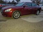 Lot #3308472315 2013 NISSAN MAXIMA S