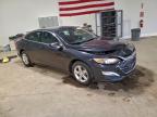 Lot #3297808825 2023 CHEVROLET MALIBU LT