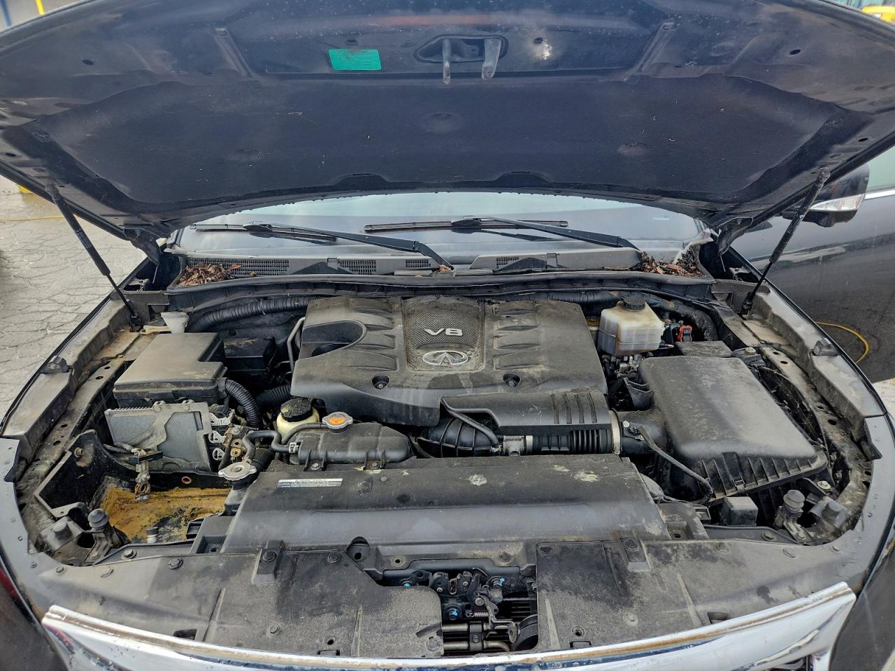 Lot #3317737068 2015 INFINITI QX80