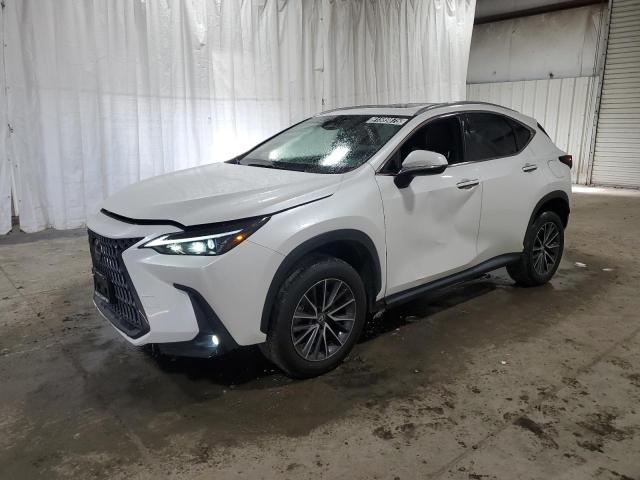 2024 LEXUS NX 350 BAS #3311517250