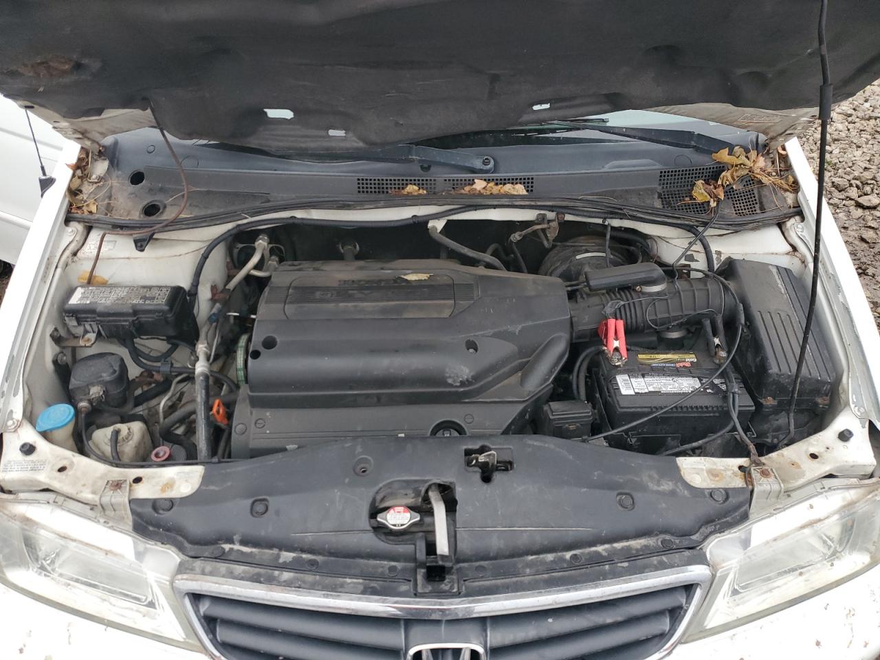 Lot #3304526441 2003 HONDA ODYSSEY EX