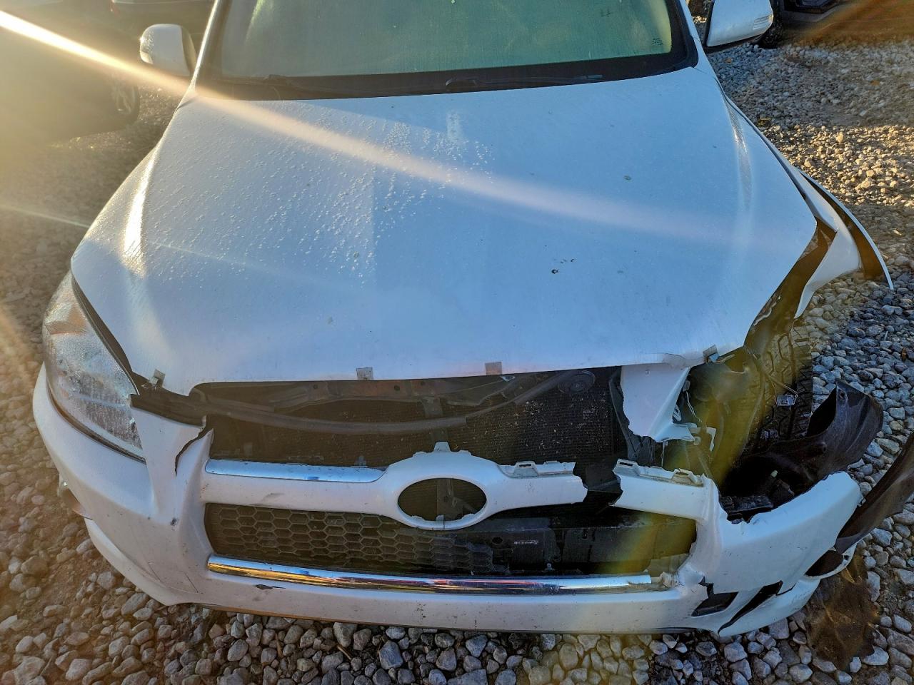 Lot #3303703031 2010 TOYOTA RAV4 LIMIT