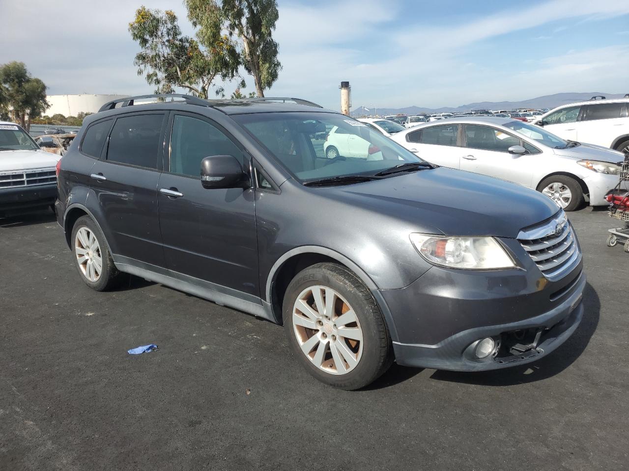 Lot #3302687050 2009 SUBARU TRIBECA LI