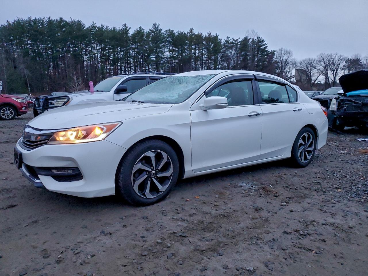 Lot #3315907086 2016 HONDA ACCORD EXL