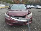 Lot #3294254880 2011 HONDA ACCORD EXL