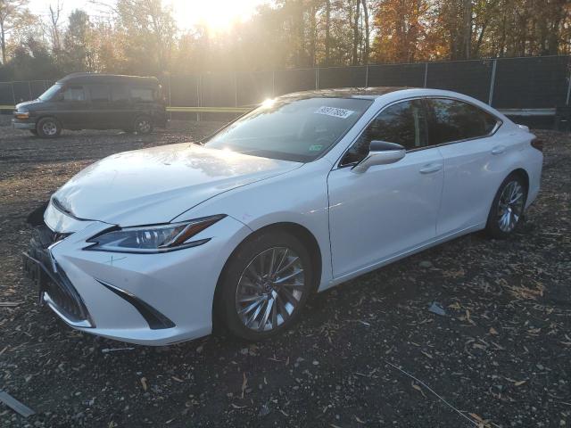 2020 LEXUS ES 350 LUX 58AEZ1B10LU076570