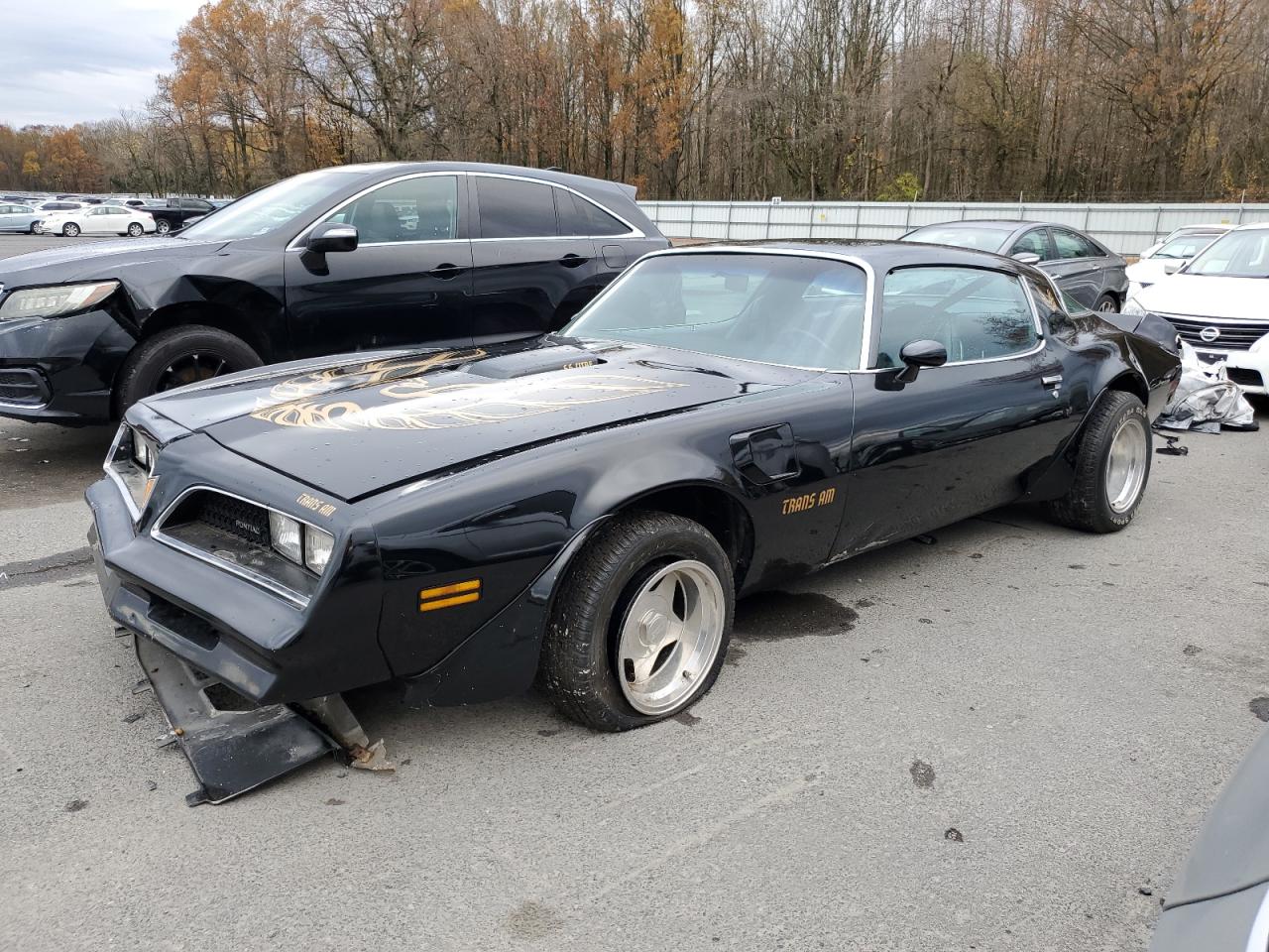 Lot #3286345728 1977 PONTIAC FIREBIRD T