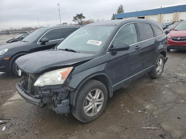 Global Auto Auctions: 2010 HONDA CR-V EXL