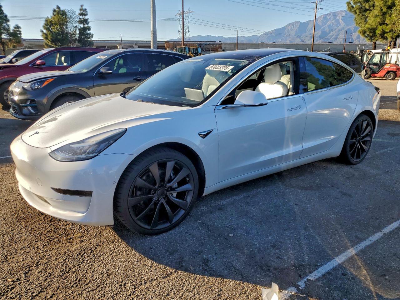 Lot #3303002633 2019 TESLA MODEL 3