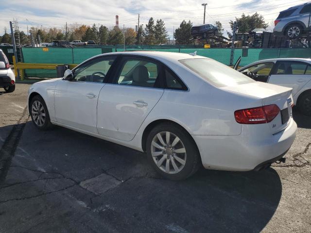 2011 AUDI A4 PREMIUM - WAUFFAFL1BN045905