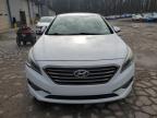 Lot #3296304421 2015 HYUNDAI SONATA ECO