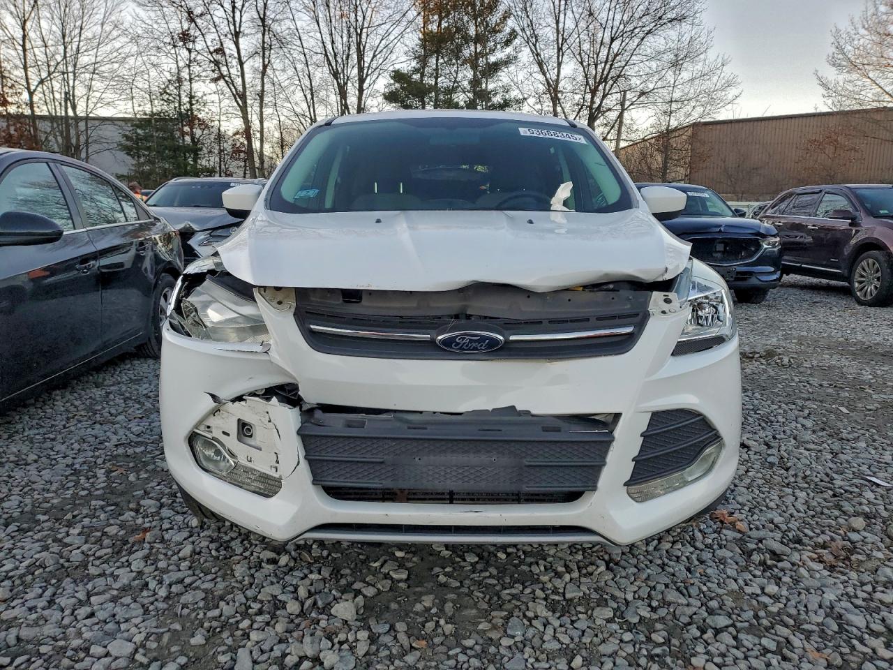 Lot #3312289769 2014 FORD ESCAPE SE