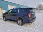 Lot #3304736913 2023 CHEVROLET TAHOE K150