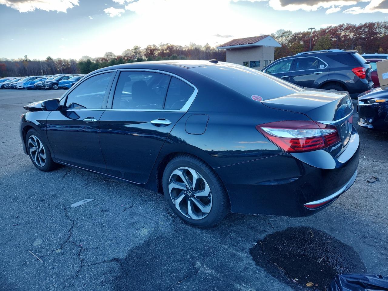 Lot #3312538609 2016 HONDA ACCORD EXL