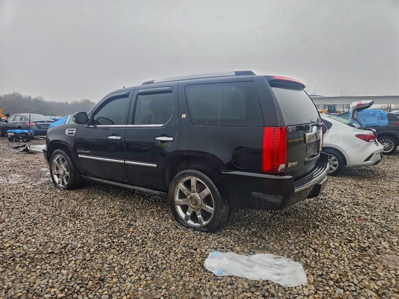 2009 CADILLAC ESCALADE H #3298024159