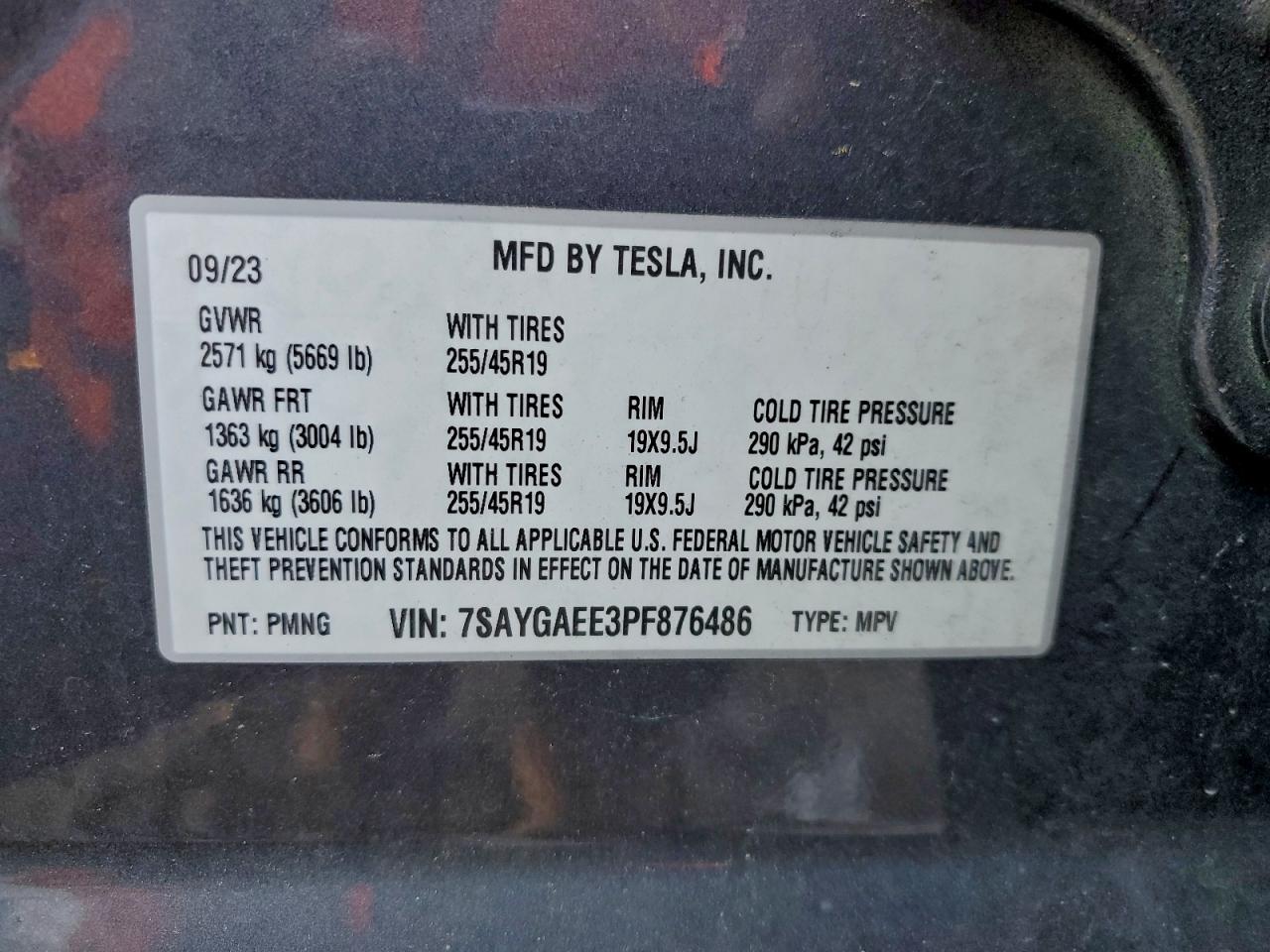 TESLA MODEL Y