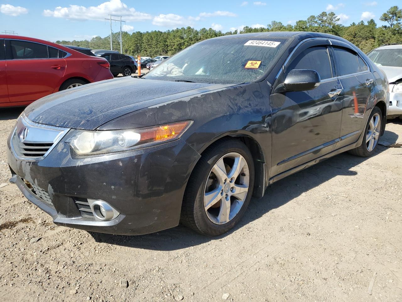 Lot #3285562273 2013 ACURA TSX