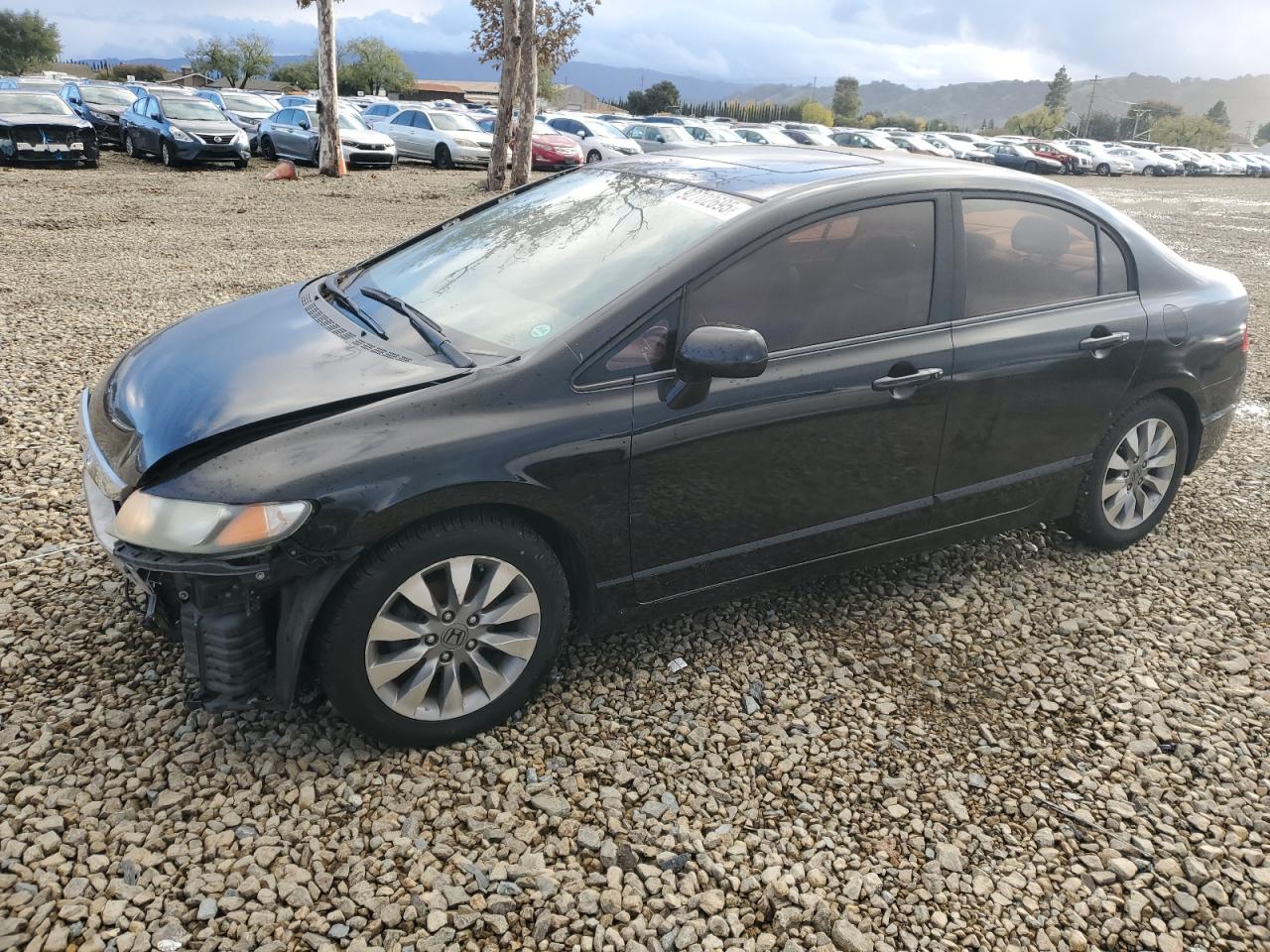 Lot #3304023592 2010 HONDA CIVIC EXL