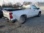 Lot #3297872802 2023 CHEVROLET SILVERADO
