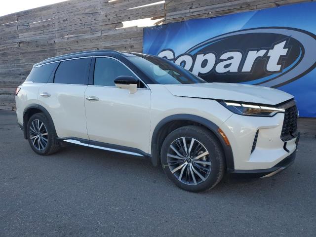 2025 INFINITI QX60 AUTOG #3287300994