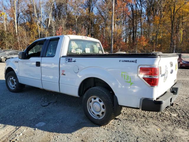 2010 FORD F150 SUPER - 1FTEX1CW5AFD23434