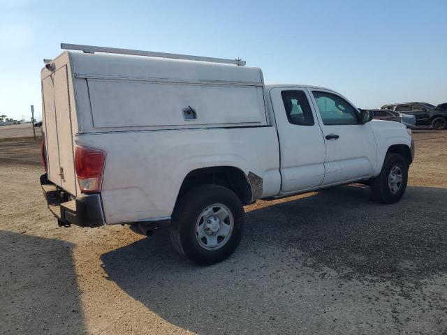 2024 TOYOTA TACOMA ACC #3292427552