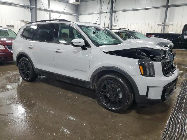 2025 KIA TELLURIDE #3293491449