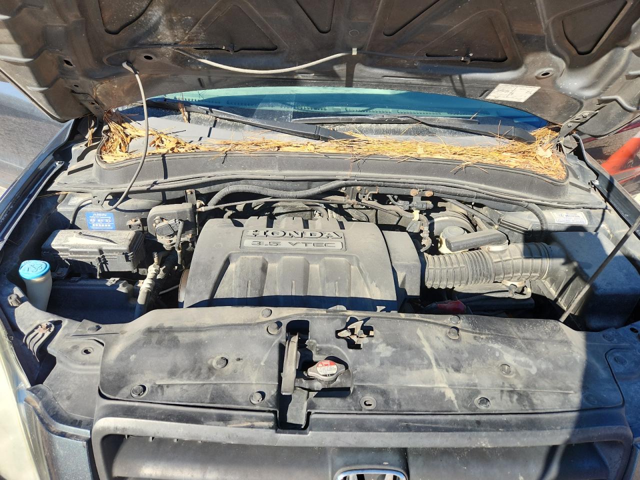 Lot #3291297443 2005 HONDA PILOT EXL