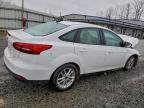 Lot #3304688921 2015 FORD FOCUS SE