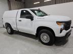 Lot #3305484096 2023 CHEVROLET SILVERADO