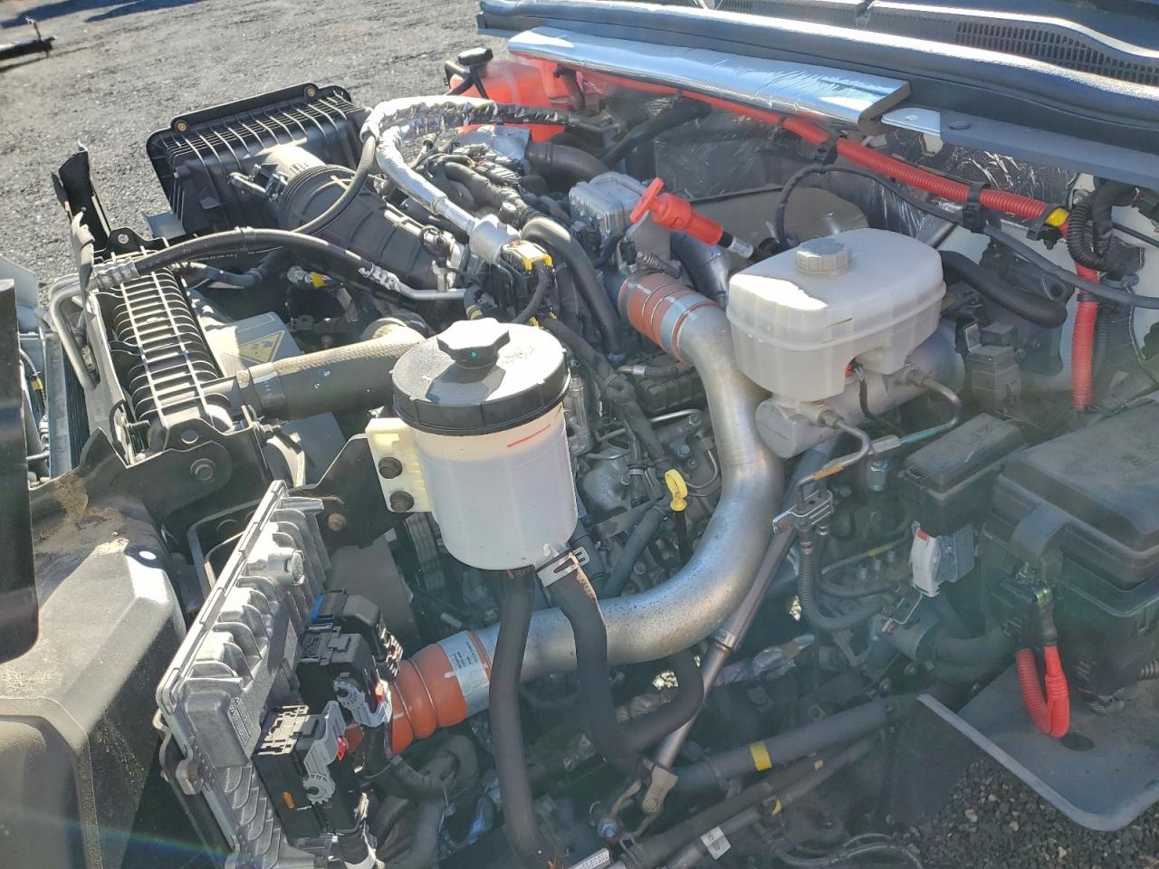 Lot #3310480056 2022 CHEVROLET SILVERADO