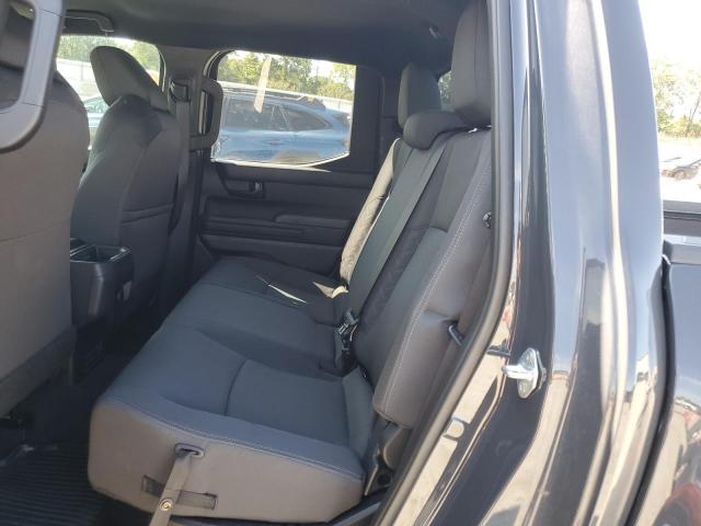 2024 TOYOTA TACOMA DOU #3281482014