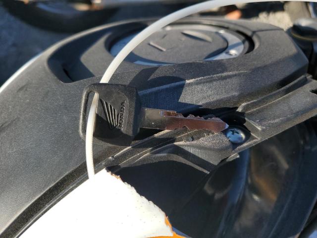 2024 HONDA GROM A #3303946717