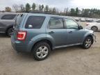 Lot #3309564576 2011 FORD ESCAPE XLT