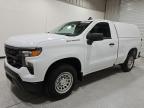 Lot #3305484096 2023 CHEVROLET SILVERADO
