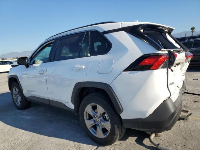 2024 TOYOTA RAV4 LE #3301987439