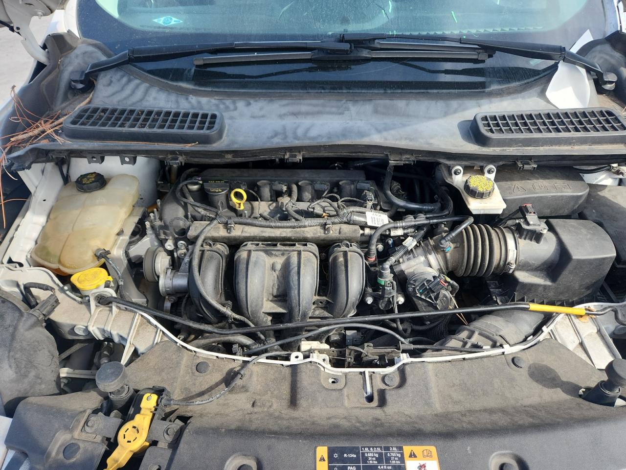 Lot #3290241259 2016 FORD ESCAPE SE