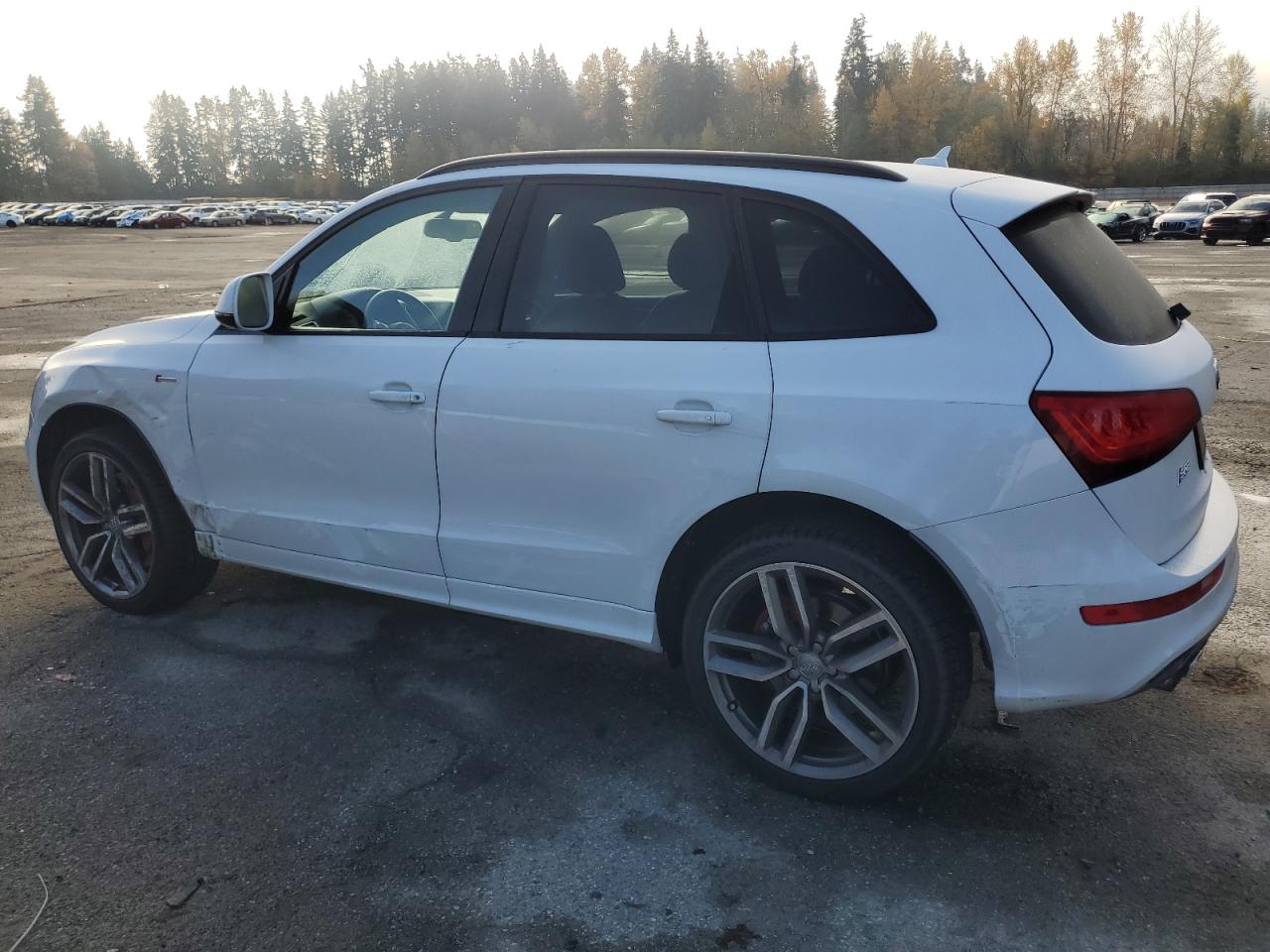 AUDI SQ5 PREMIUM PLUS