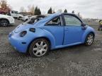 Lot #3293346432 2001 VOLKSWAGEN NEW BEETLE