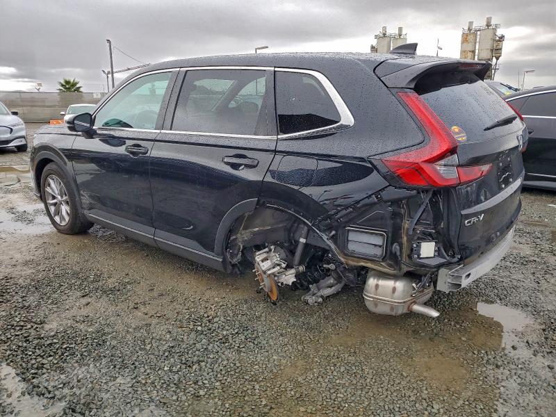 2024 HONDA CR-V EXL #3302673034